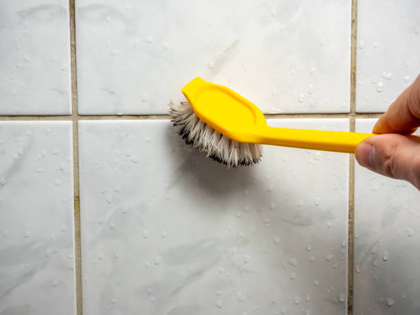 Best Water Damage Restoration  in Baltimore, MD