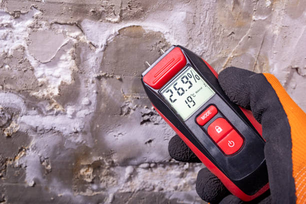 Best Affordable Mold Removal  in Baltimore, MD