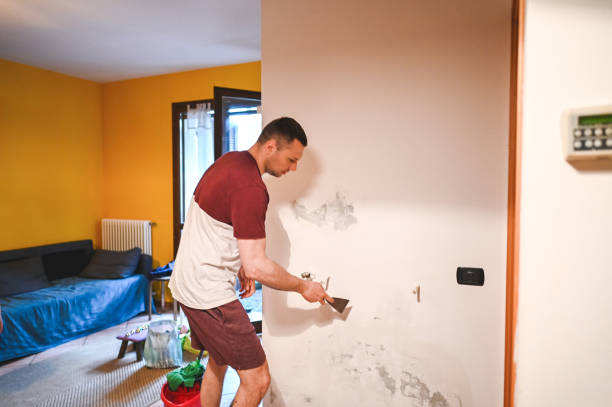 Best Toxic Mold Removal  in Baltimore, MD
